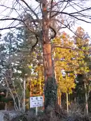 石都々古和気神社の自然