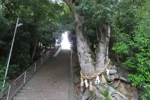 新宮神社の景色