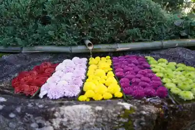 木幡山隠津島神社(二本松市)の手水舎