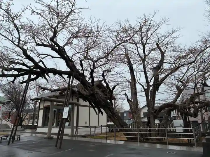 豊受神社(千葉県)