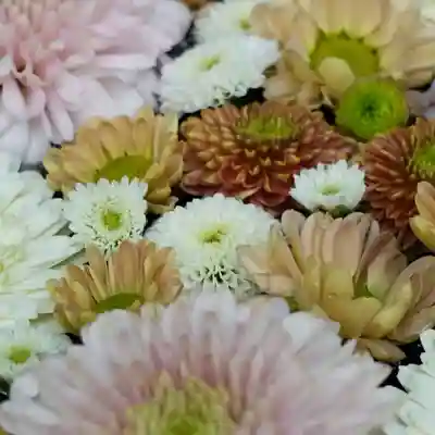 帯廣神社の手水舎