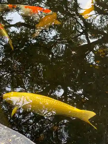 伊豆山神社(静岡県)