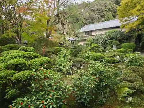 安楽寺(京都府)