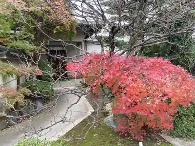薬師院(神奈川県)