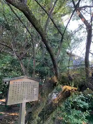 熱田神宮(愛知県)