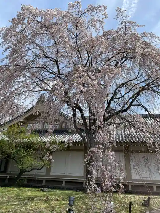 宝聚院(京都府)