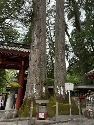 日光二荒山神社(栃木県)