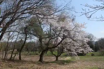 笹山原神社の自然