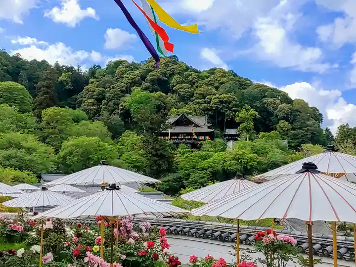 長谷寺の景色
