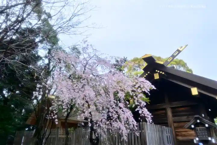 伊勢山皇大神宮の自然