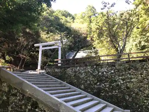 安房神社の鳥居