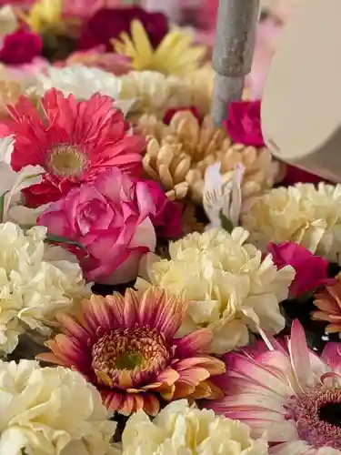 鳩森八幡神社(東京都)