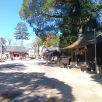 諏訪八幡神社(埼玉県)