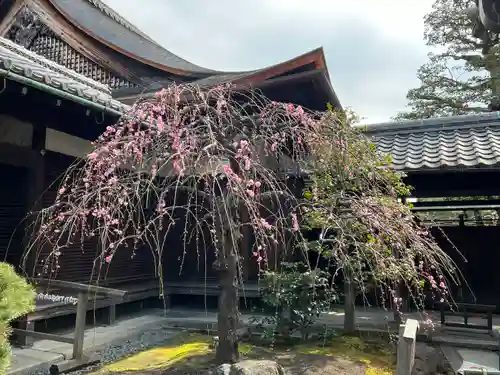 観智院（東寺子院）(京都府)