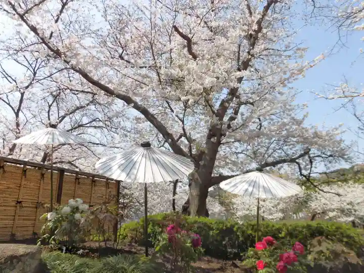 鶴岡八幡宮の{uncategorized: "未分類", other: "その他", undefined: "問題あり", building: "その他建物", grave: "お墓", sacred_gate: "鳥居", guardian: "狛犬", statue: "像", buddha: "仏像", history: "歴史", nature: "自然", garden: "庭園", animal: "動物", pagoda: "塔", temizu: "手水舎", mountain_gate: "山門・神門", sanctuary: "本殿・本堂", subordinate: "末社・摂社", art: "芸術", scenery: "景色", jizo: "地蔵", ema: "絵馬", goshuin: "御朱印", omikuji: "おみくじ", items: "授与品その他", amulet: "お守り", goshuincho: "御朱印帳", eats: "食事", festival: "お祭り", votive_dance: "神楽", shichigosan: "七五三参", wedding: "結婚式", experience: "体験その他", initially: "初詣", around: "周辺", anti_infection: "感染症対策"}