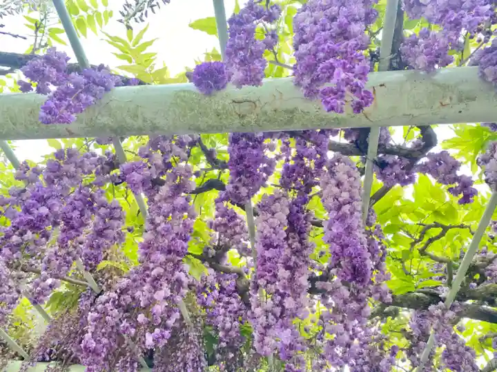 賀茂神社(愛知県)