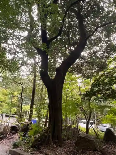 伊吹の瀧不動明王(岐阜県)