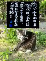 専念寺の動物