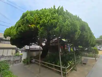 海福寺(兵庫県)