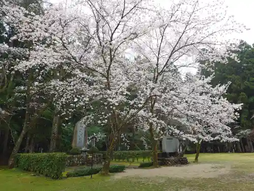 大斎原（熊野本宮大社旧社地）(和歌山県)