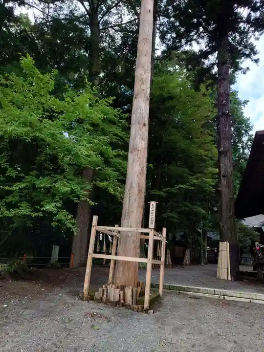 矢彦神社(長野県)