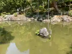 慈照寺（慈照禅寺・銀閣寺）(京都府)