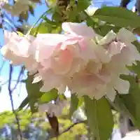 日吉神社(愛知県)