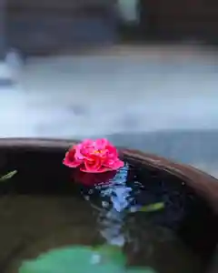 浄土寺(兵庫県)(2024年04月24日(水) 07時16分59秒投稿)