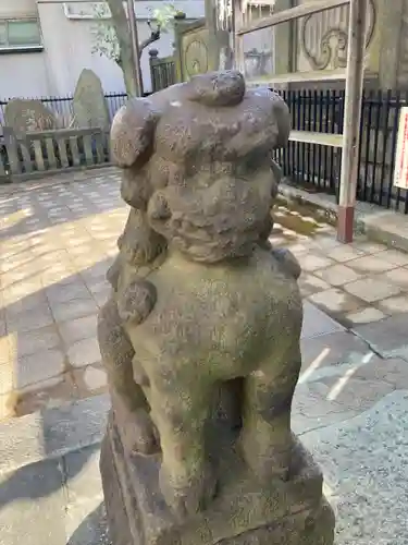 高輪神社の狛犬