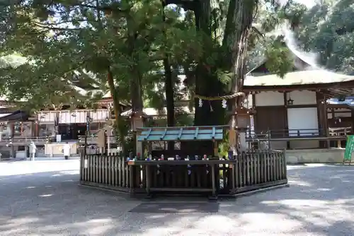 大神神社の自然
