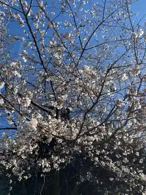 第六天神社(埼玉県)