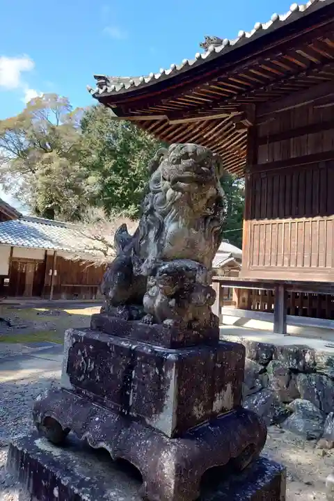 下賀茂神社の狛犬