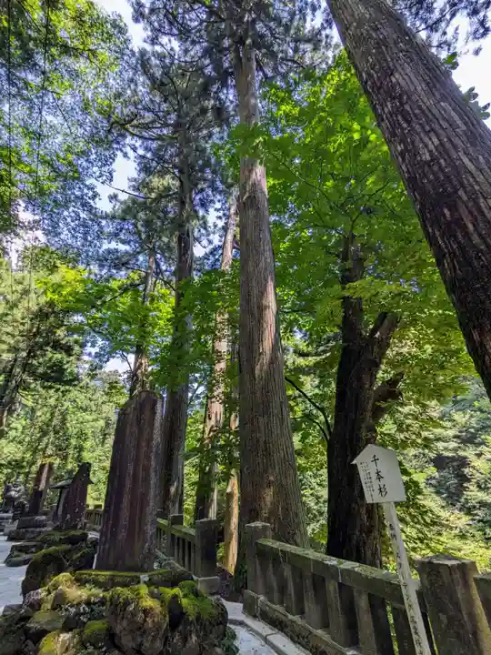 榛名神社(群馬県)