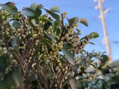 西方山極楽寺(岐阜県)