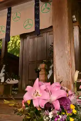 若宮八幡宮(高知県)