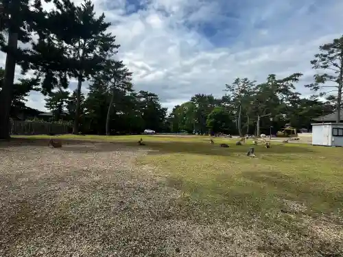 興福寺 北円堂(奈良県)
