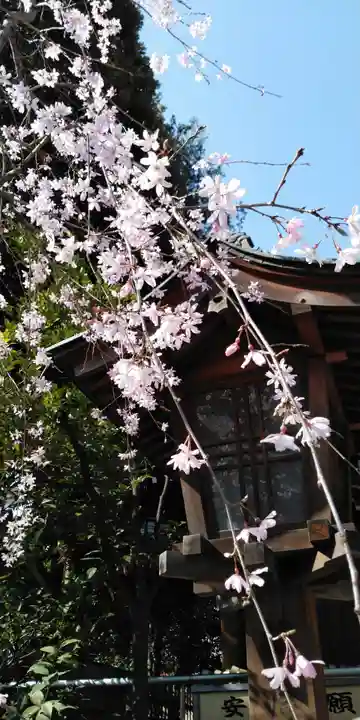 子安神社の自然