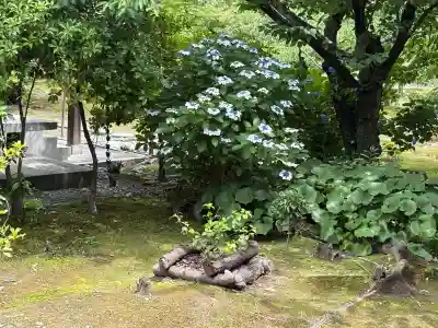 勧修寺(京都府)