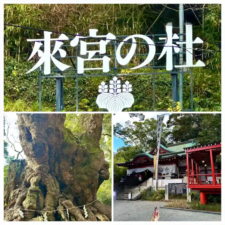 來宮神社(静岡県)