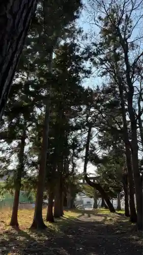 神山稲荷神社(北海道)