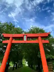 子檀嶺神社(長野県)