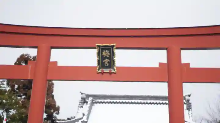 梅宮大社(京都府)