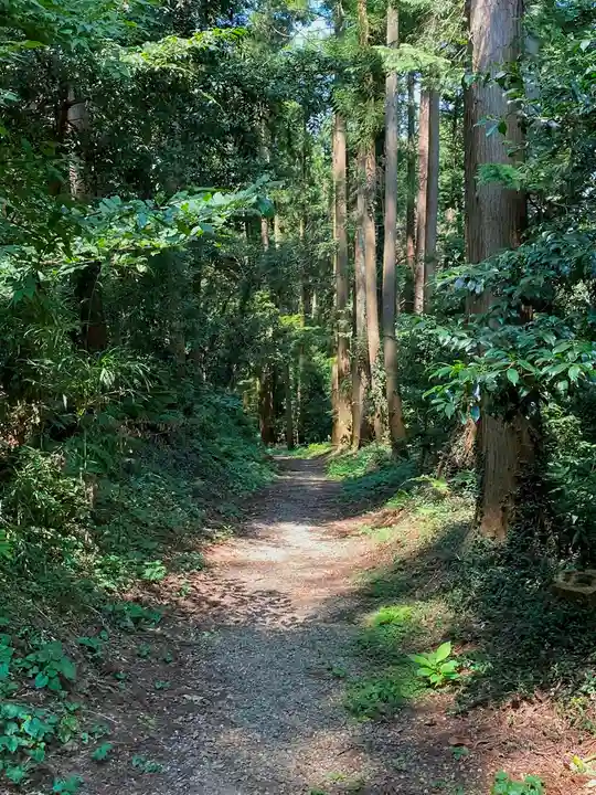 常陸二ノ宮 静神社の自然