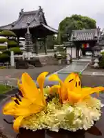 真言宗 善通寺派 薬王寺(香川県)