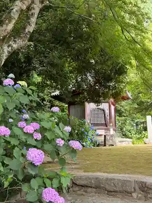 矢田寺(奈良県)
