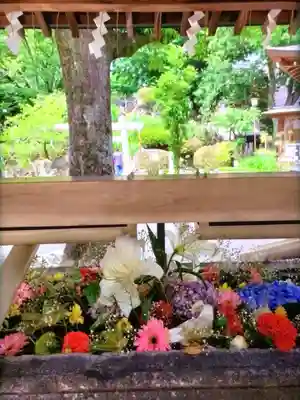 鳩森八幡神社の手水舎