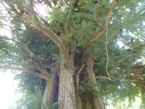 芳友寺(愛知県)