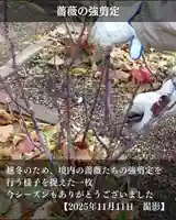 宝光寺(北海道)