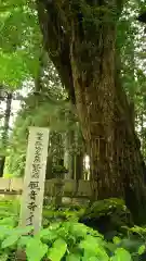 観音寺（寺山観音）の自然