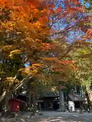 北口本宮冨士浅間神社(山梨県)